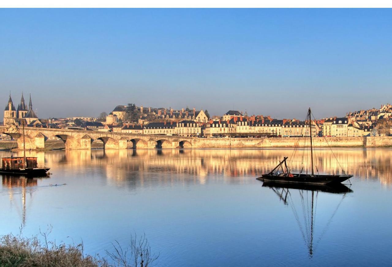 Les Lumieres De La Loire Διαμέρισμα Μπλουά Εξωτερικό φωτογραφία